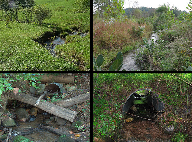 Various shots of Purlear Creek Before and after restoration efforts